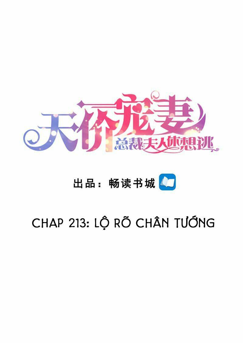 Cưng Chiều Vợ Yêu Chapter 213 - Trang 2