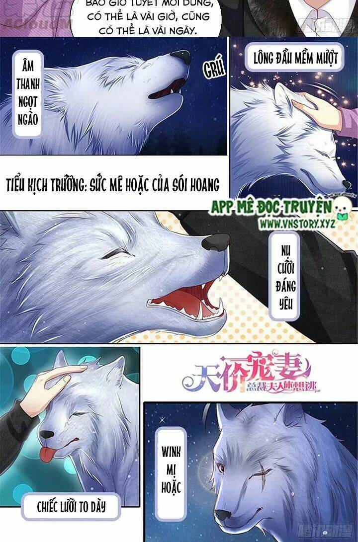 Cưng Chiều Vợ Yêu Chapter 309 - Trang 2