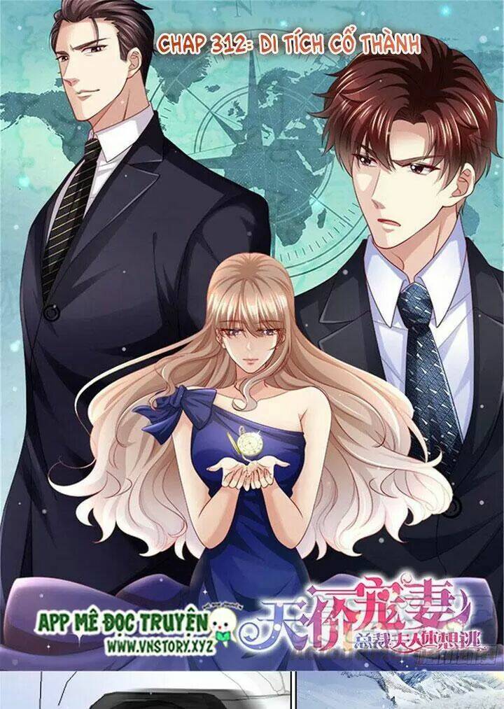 Cưng Chiều Vợ Yêu Chapter 312 - Trang 2