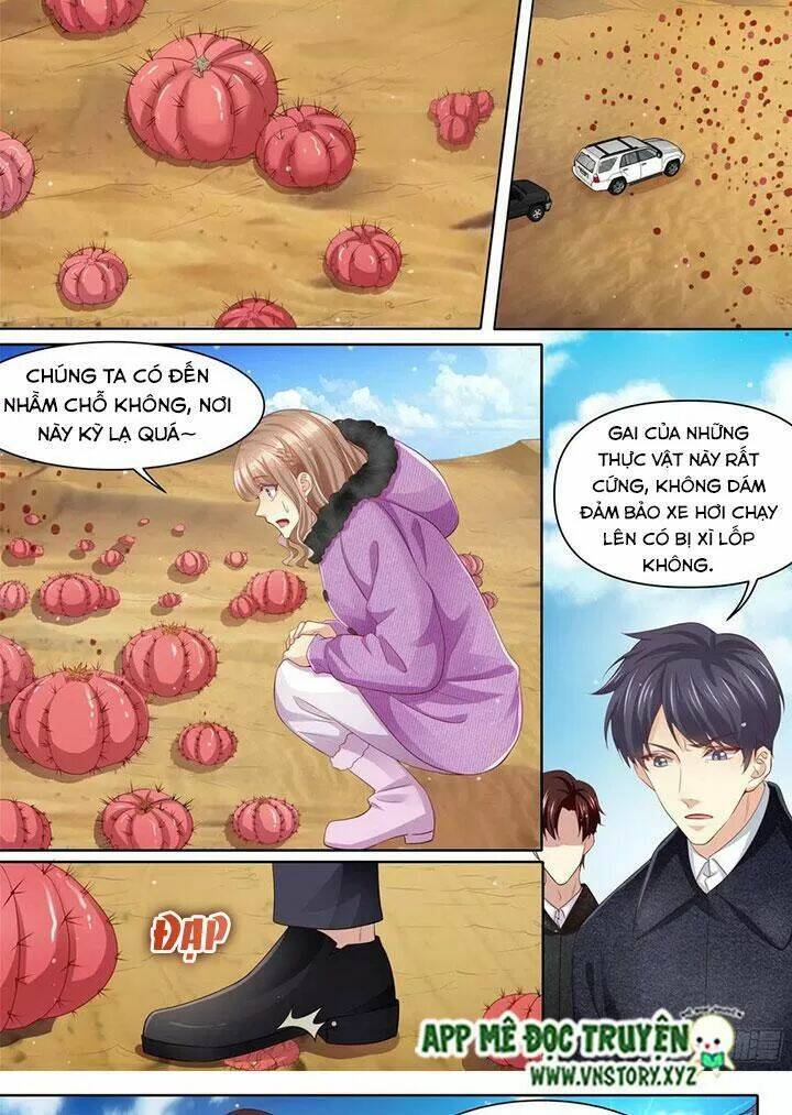 Cưng Chiều Vợ Yêu Chapter 312 - Trang 2