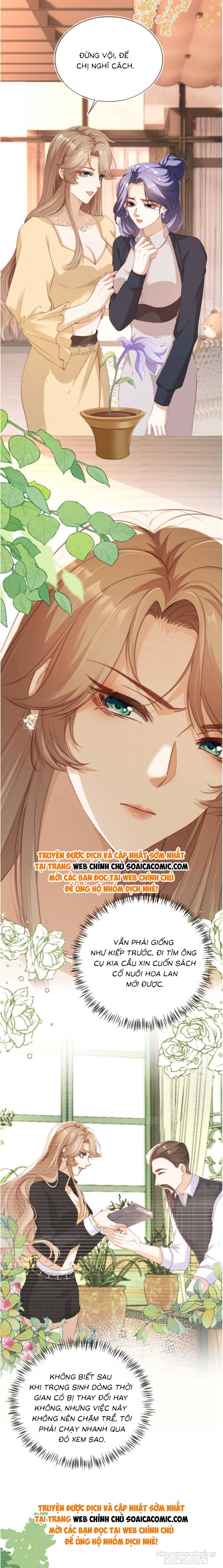 Cùng Đại Lão Vả Mặt Cặn Bả Sau Trọng Sinh Chapter 11 - Trang 2