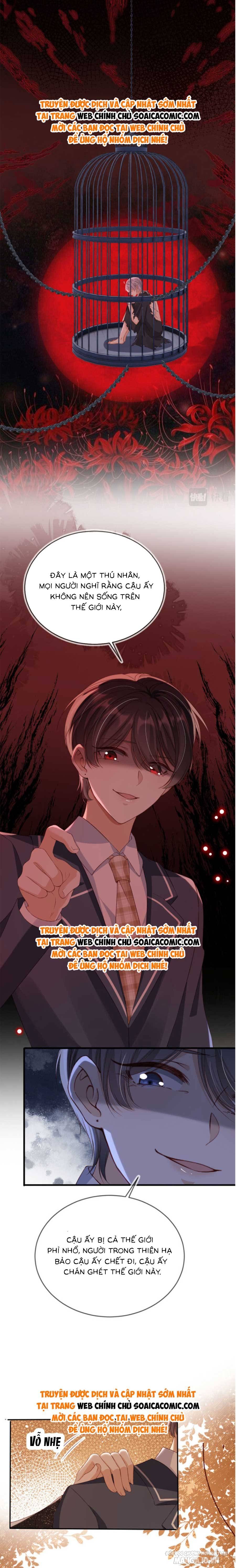 Cùng Đại Lão Vả Mặt Cặn Bả Sau Trọng Sinh Chapter 12 - Trang 2