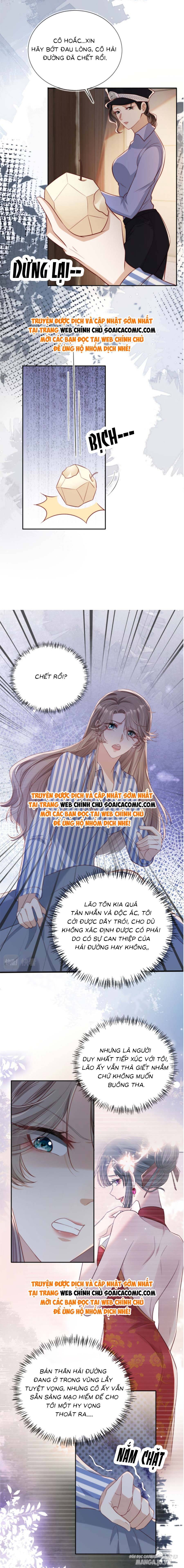 Cùng Đại Lão Vả Mặt Cặn Bả Sau Trọng Sinh Chapter 21 - Trang 2