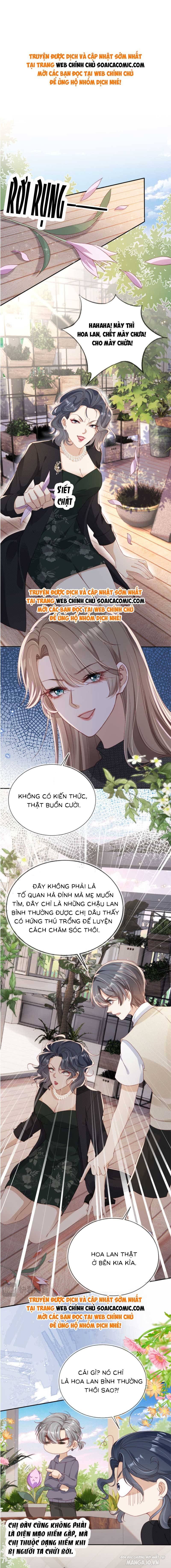 Cùng Đại Lão Vả Mặt Cặn Bả Sau Trọng Sinh Chapter 24 - Trang 2