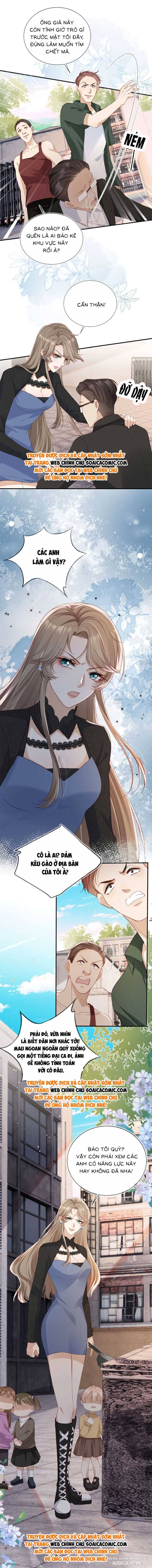 Cùng Đại Lão Vả Mặt Cặn Bả Sau Trọng Sinh Chapter 27 - Trang 2