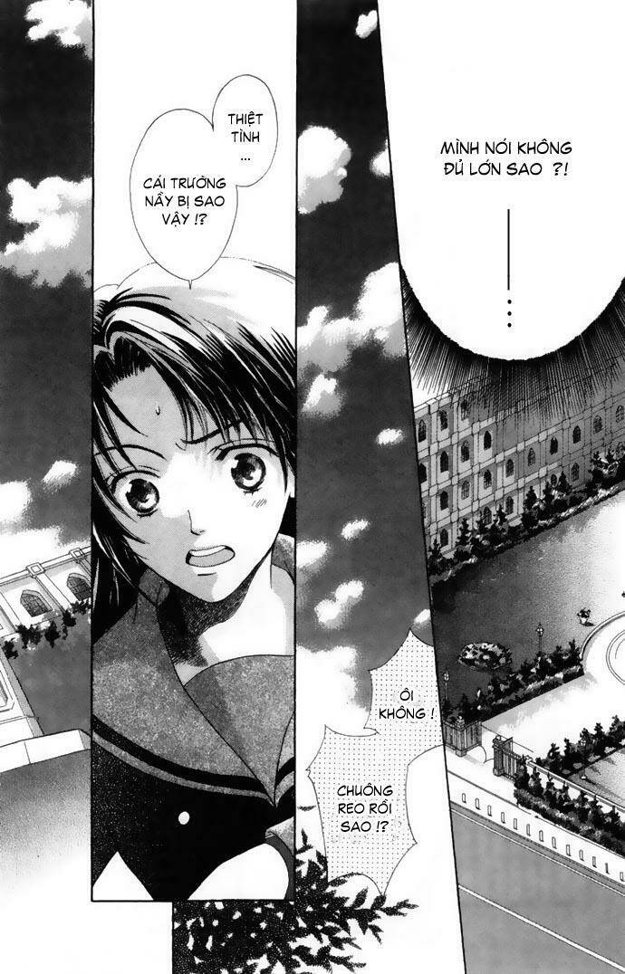 Cung Đàn Vàng Chapter 1 - Trang 2