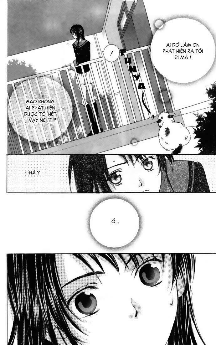Cung Đàn Vàng Chapter 1 - Trang 2