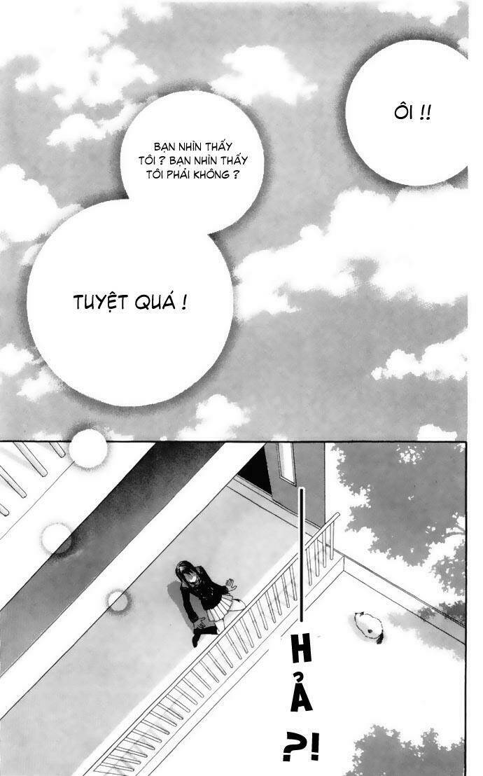 Cung Đàn Vàng Chapter 1 - Trang 2