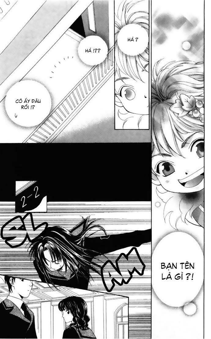 Cung Đàn Vàng Chapter 1 - Trang 2