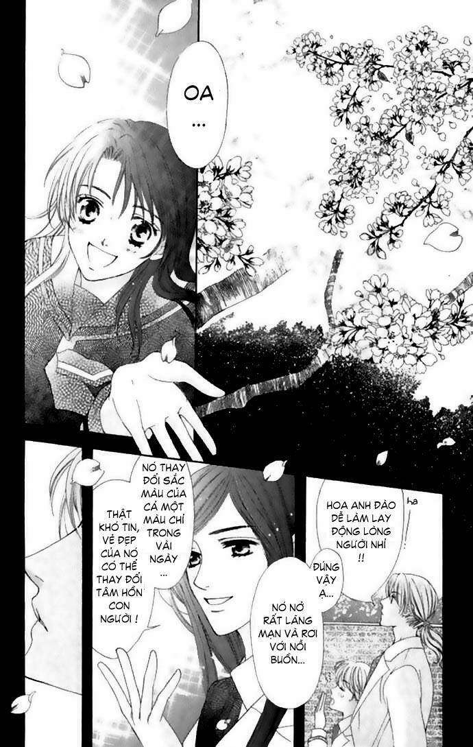 Cung Đàn Vàng Chapter 5 - Trang 2