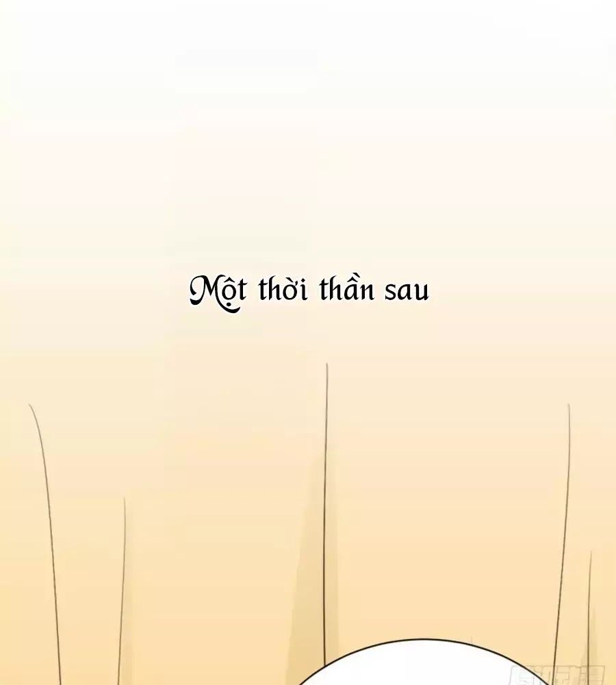 Cung Đấu Live Chapter 37 - Trang 2