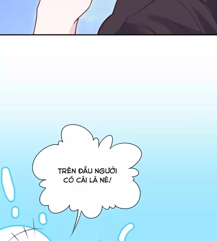 Cung Đấu Live Chapter 37 - Trang 2