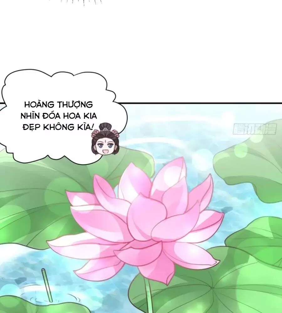 Cung Đấu Live Chapter 38 - Trang 2