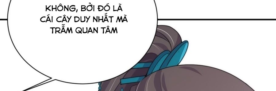 Cung Đấu Live Chapter 43 - Trang 2