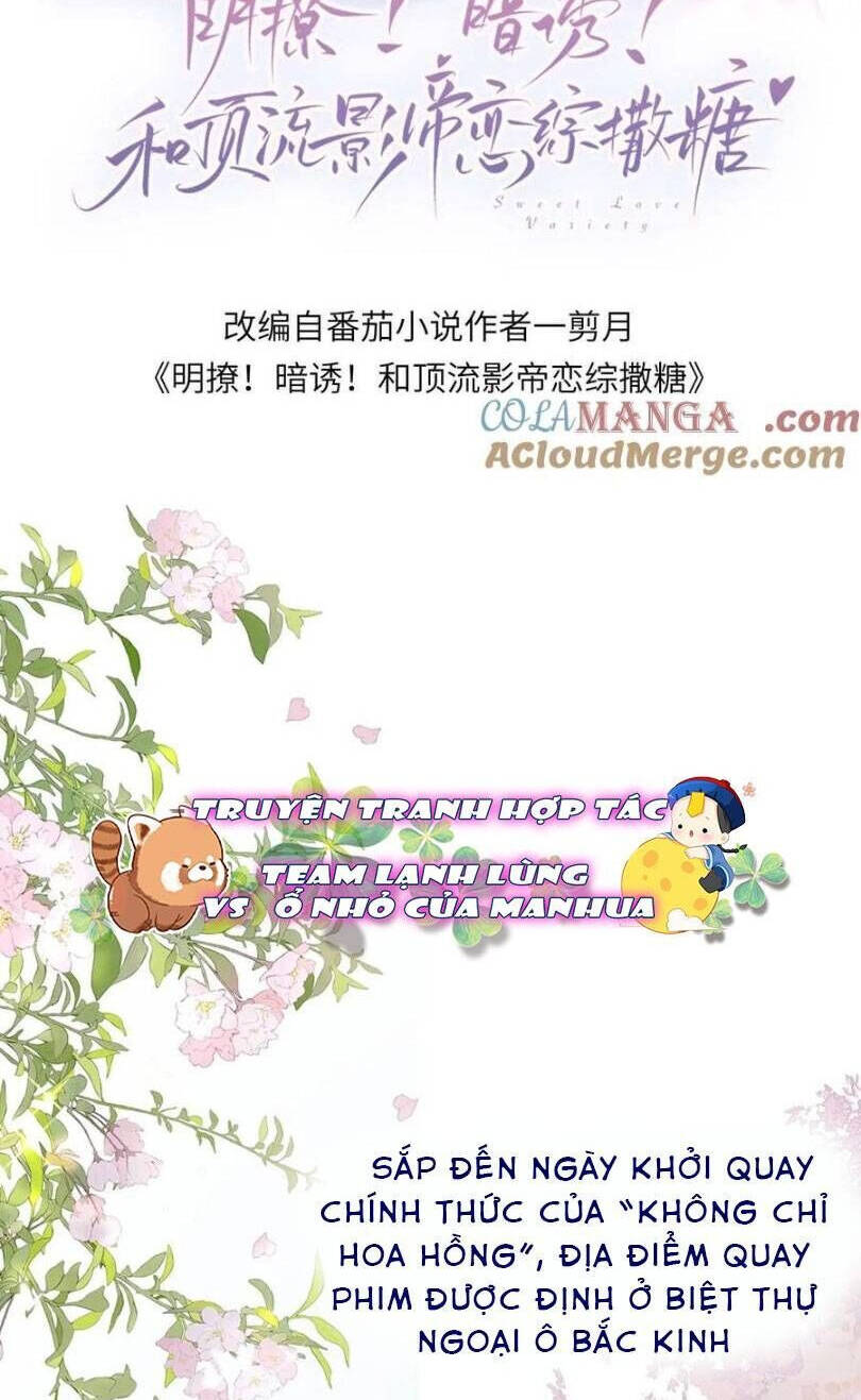 Cùng Đỉnh Lưu Ảnh Đế Yêu Đương Phát Đường Chapter 241 - Trang 2