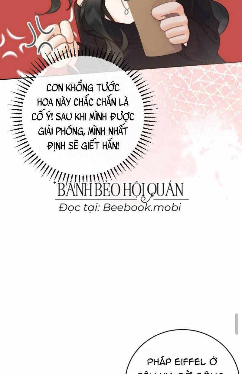 Cùng Đỉnh Lưu Ảnh Đế Yêu Đương Phát Đường Chapter 31 - Trang 2