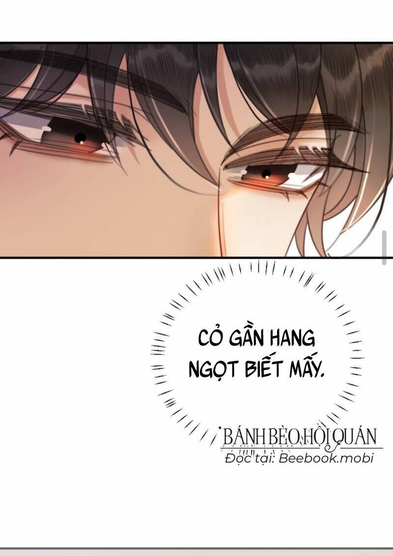 Cùng Đỉnh Lưu Ảnh Đế Yêu Đương Phát Đường Chapter 34 - Trang 2