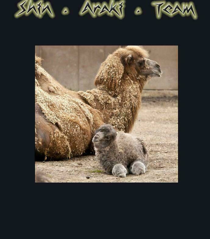 Cuộc Chiến Trong Tòa Tháp – Tower Of God Chapter 185 - Trang 2