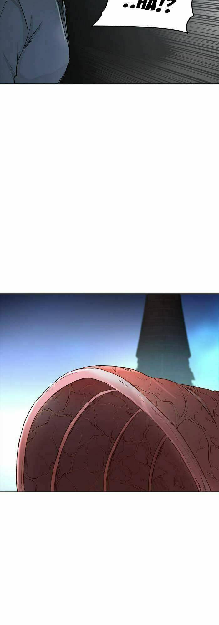 Cuộc Chiến Trong Tòa Tháp – Tower Of God Chapter 335 - Trang 2