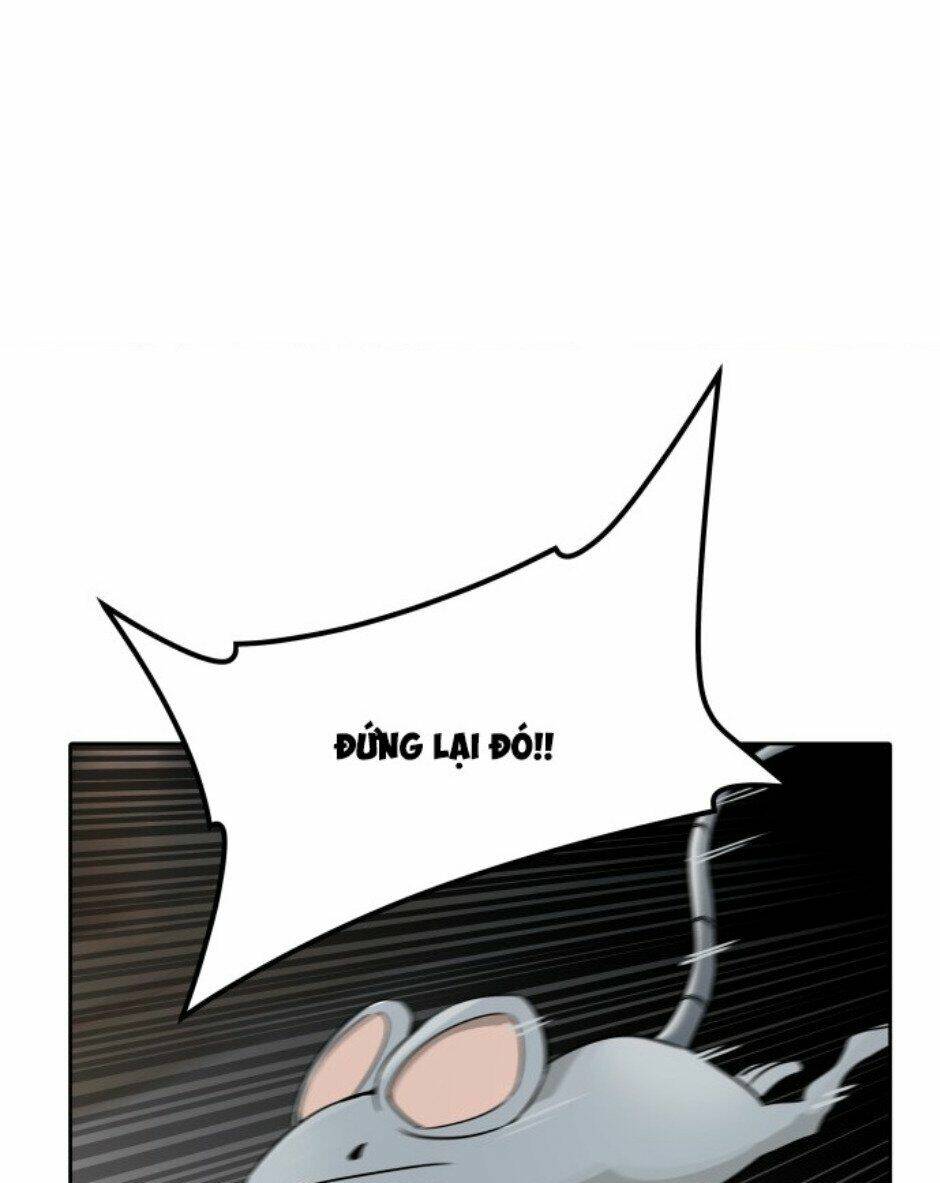 Cuộc Chiến Trong Tòa Tháp – Tower Of God Chapter 490 - Trang 2
