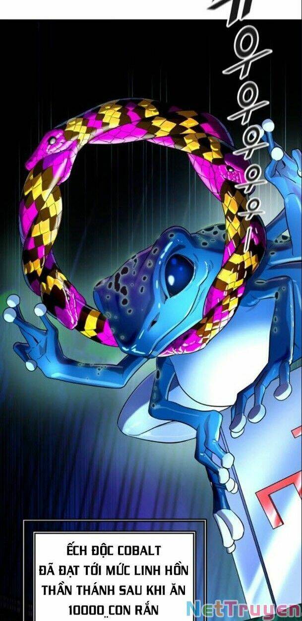 Cuộc Chiến Trong Tòa Tháp – Tower Of God Chapter 532 - Trang 2