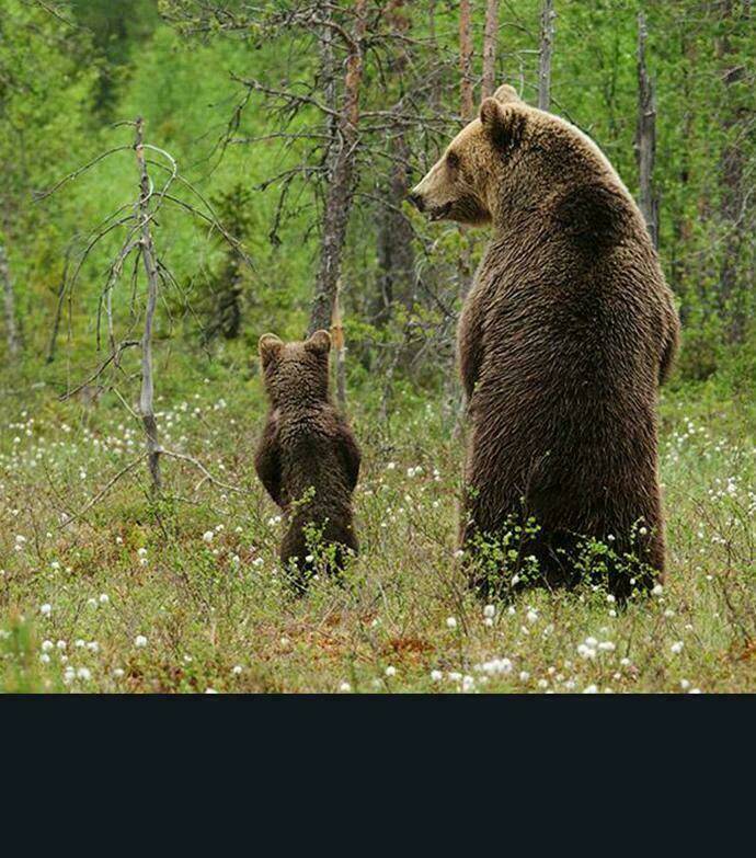 Cuộc Chiến Trong Tòa Tháp Chapter 184 - Trang 2