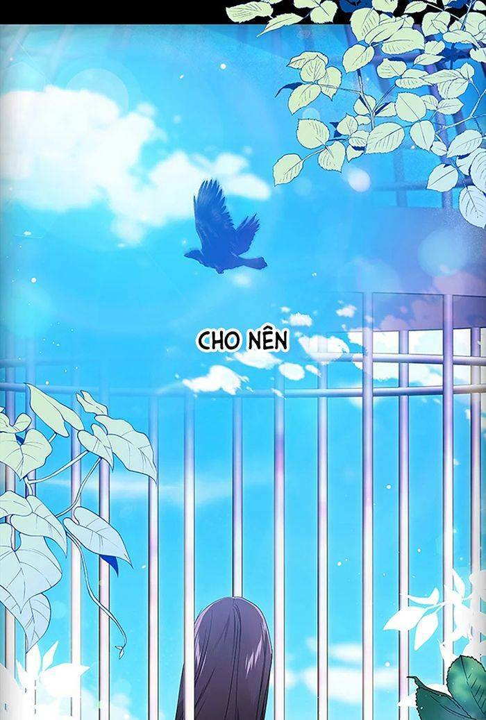 Cuộc Hôn Nhân Này Dù Sao Cũng Sẽ Tan Vỡ Mà Thôi Chapter 33 - Trang 2