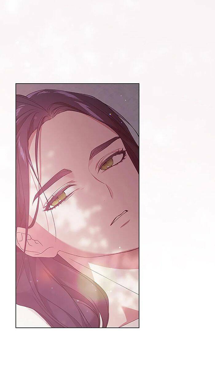 Cuộc Hôn Nhân Này Dù Sao Cũng Sẽ Tan Vỡ Mà Thôi Chapter 37 - Trang 2