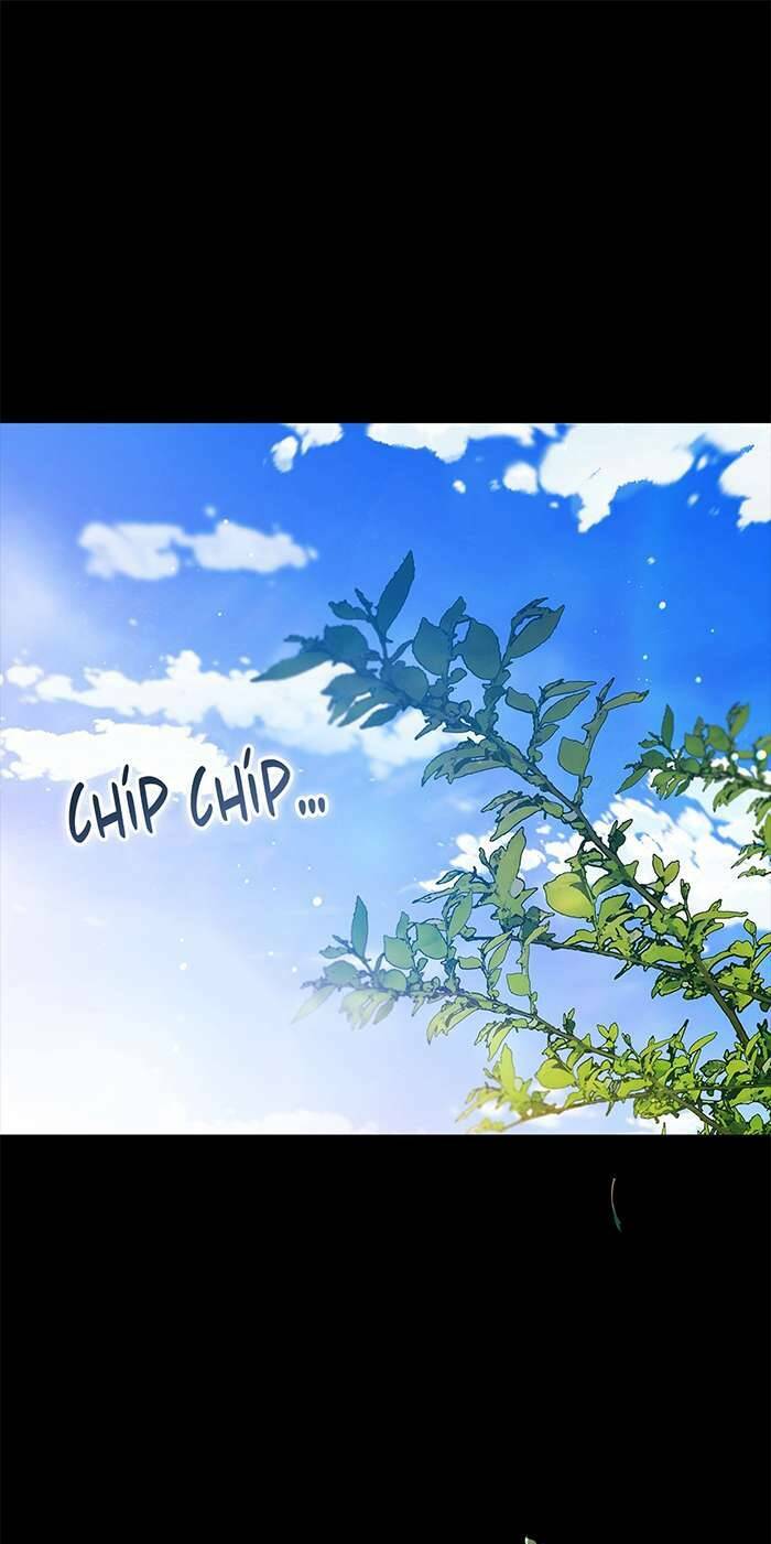 Cuộc Hôn Nhân Này Dù Sao Cũng Sẽ Tan Vỡ Mà Thôi Chapter 62 - Trang 2