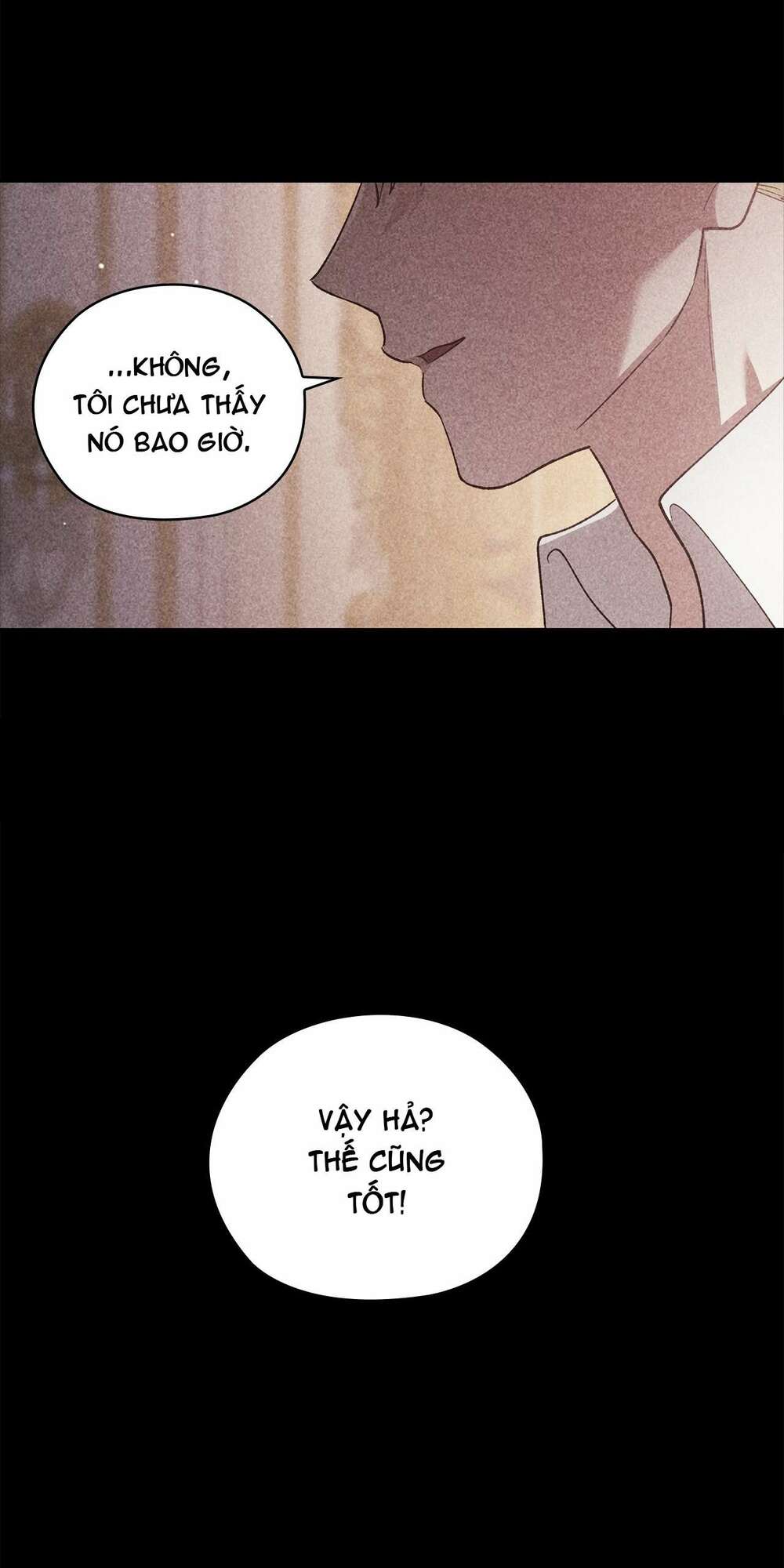 Cuộc Hôn Nhân Này Dù Sao Cũng Sẽ Tan Vỡ Mà Thôi Chapter 63 - Trang 2