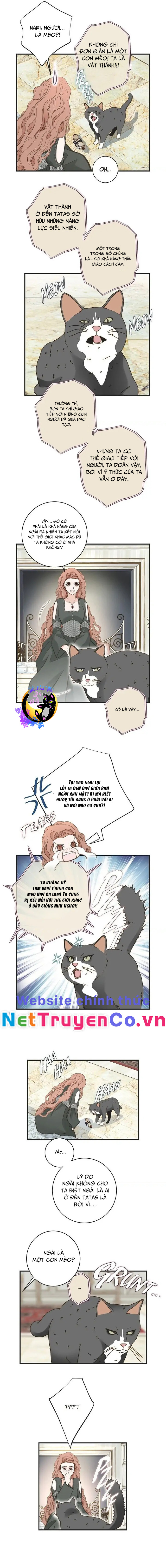 Cuộc Hôn Nhân Sống Còn Chapter 30 - Trang 2