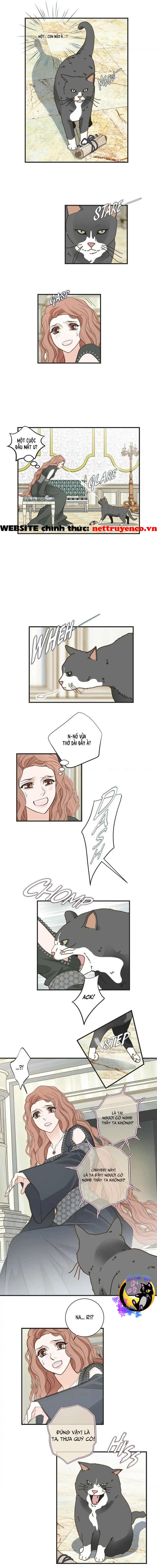 Cuộc Hôn Nhân Sống Còn Chapter 30 - Trang 2