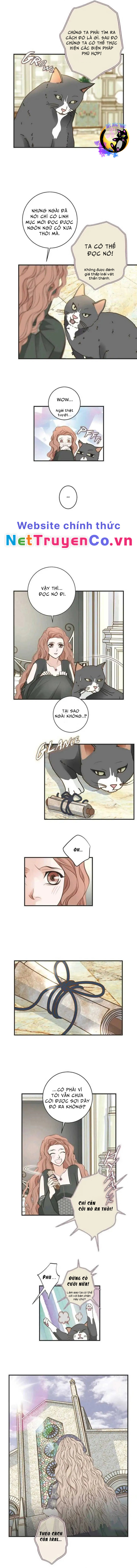 Cuộc Hôn Nhân Sống Còn Chapter 31 - Trang 2