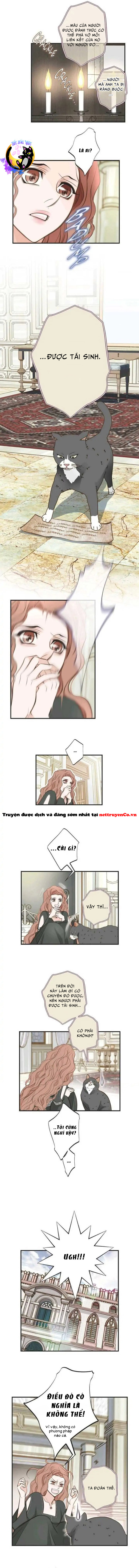 Cuộc Hôn Nhân Sống Còn Chapter 31 - Trang 2