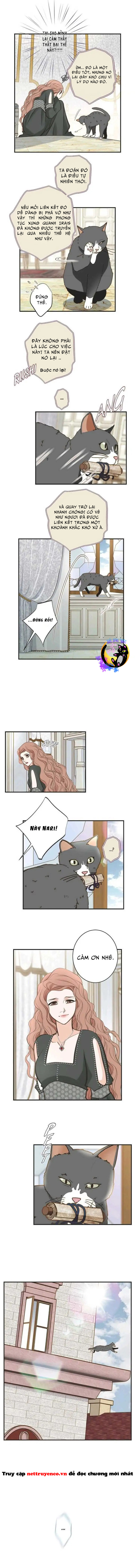 Cuộc Hôn Nhân Sống Còn Chapter 31 - Trang 2