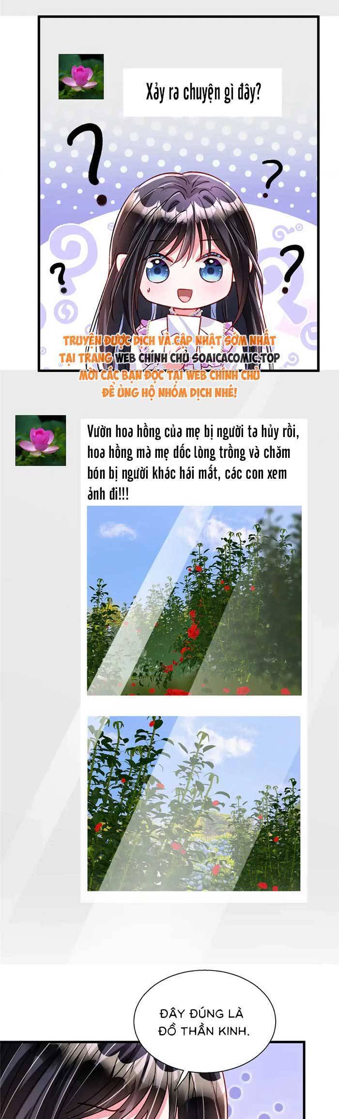 Cuộc Hôn Nhân Với Boss Nhà Giàu Khét Tiếng Chapter 209 - Trang 2