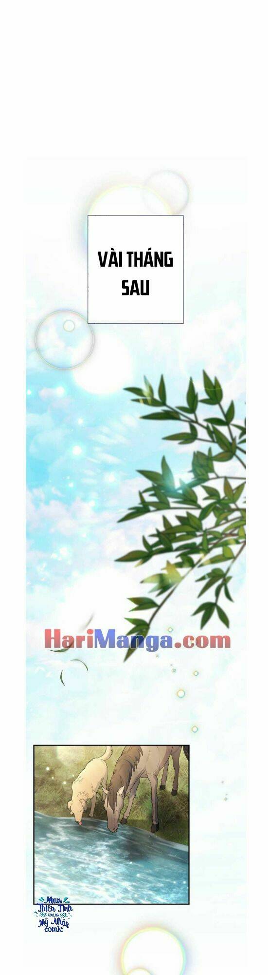 Cuộc Hôn Nhân Vụ Lợi Chapter 16 - Trang 2