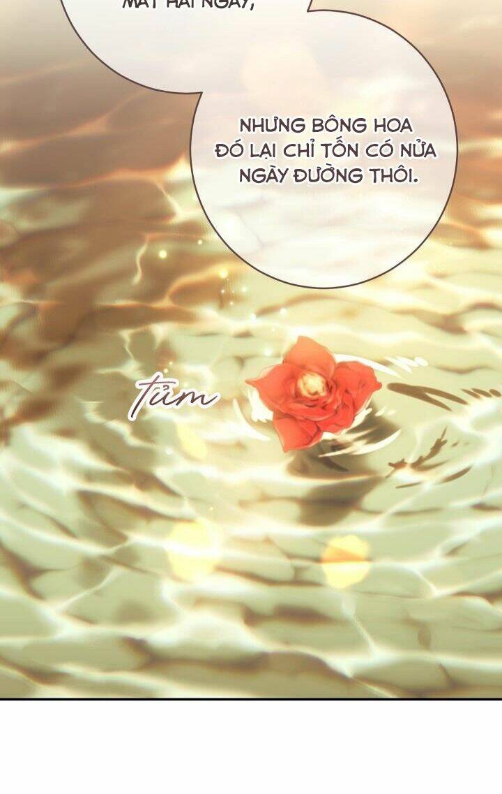 Cuộc Hôn Nhân Vụ Lợi Chapter 22 - Trang 2