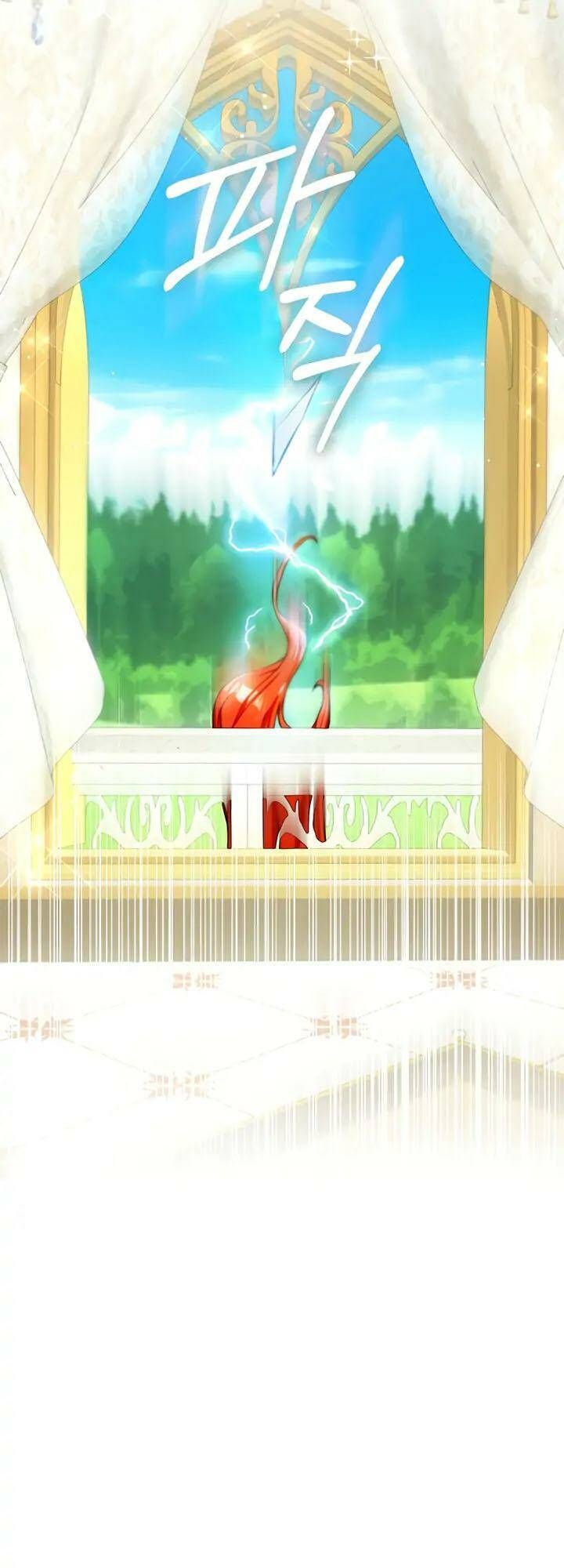 Cuộc Hôn Nhân Xa Hoa Của Đại Công Tước Là Giả Chapter 1.1 - Trang 2