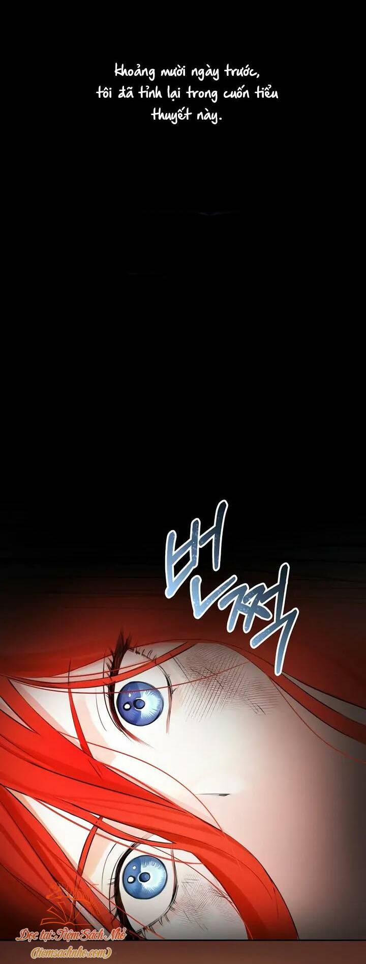 Cuộc Hôn Nhân Xa Hoa Của Đại Công Tước Là Giả Chapter 1 - Trang 2