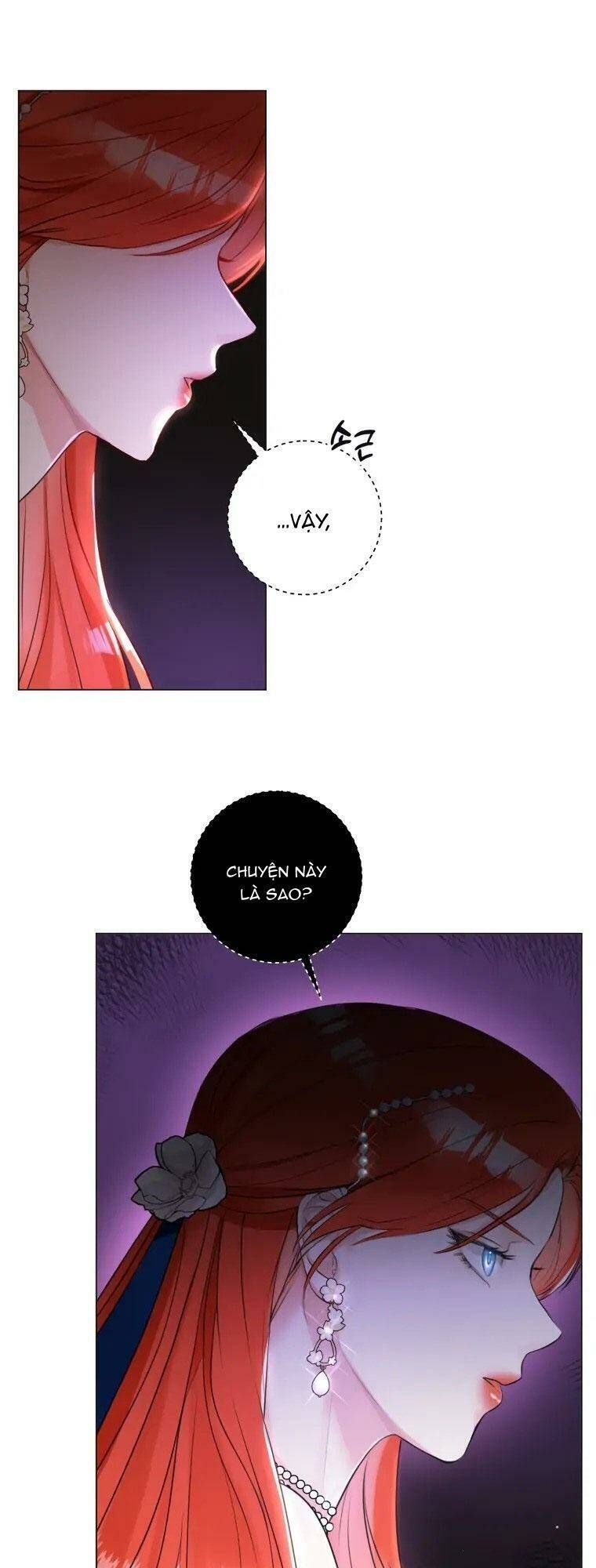 Cuộc Hôn Nhân Xa Hoa Của Đại Công Tước Là Giả Chapter 10.8 - Trang 2