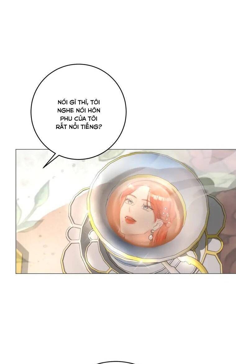 Cuộc Hôn Nhân Xa Hoa Của Đại Công Tước Là Giả Chapter 12.5 - Trang 2