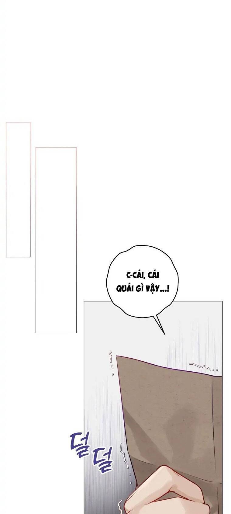 Cuộc Hôn Nhân Xa Hoa Của Đại Công Tước Là Giả Chapter 15.1 - Trang 2