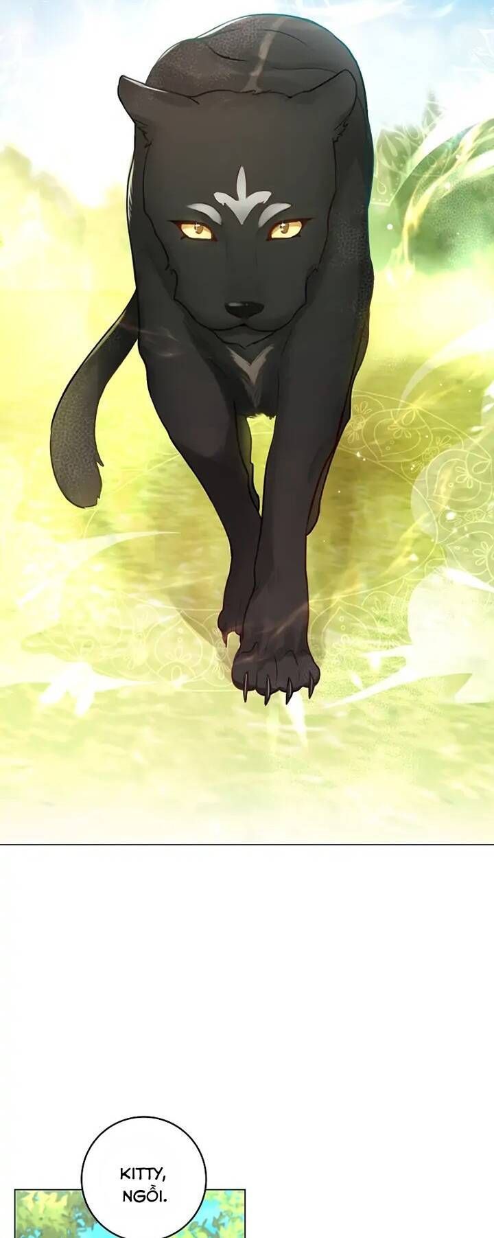 Cuộc Hôn Nhân Xa Hoa Của Đại Công Tước Là Giả Chapter 18.9 - Trang 2