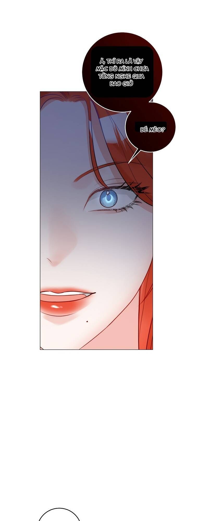 Cuộc Hôn Nhân Xa Hoa Của Đại Công Tước Là Giả Chapter 19.9 - Trang 2