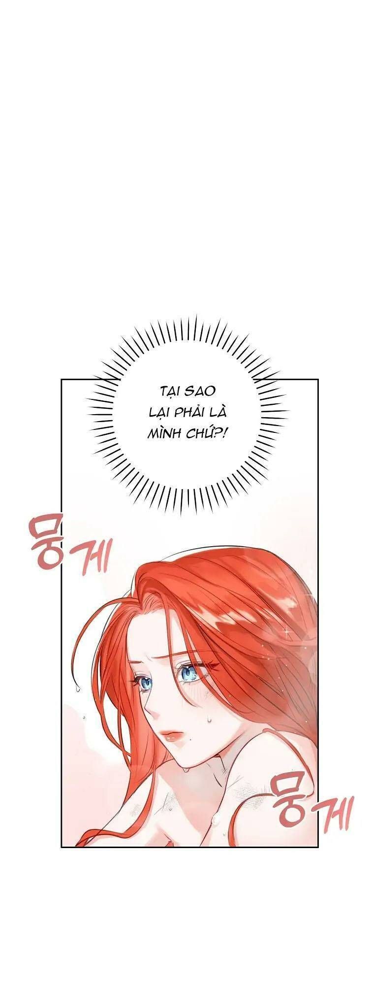 Cuộc Hôn Nhân Xa Hoa Của Đại Công Tước Là Giả Chapter 2.3 - Trang 2