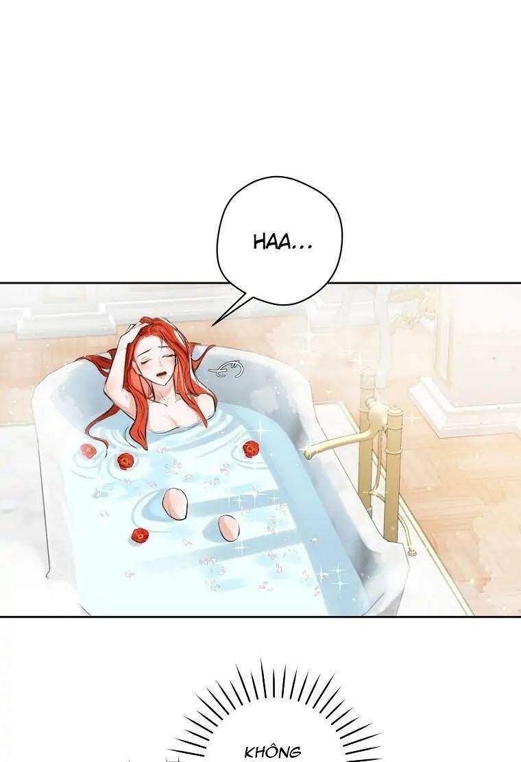 Cuộc Hôn Nhân Xa Hoa Của Đại Công Tước Là Giả Chapter 2.4 - Trang 2