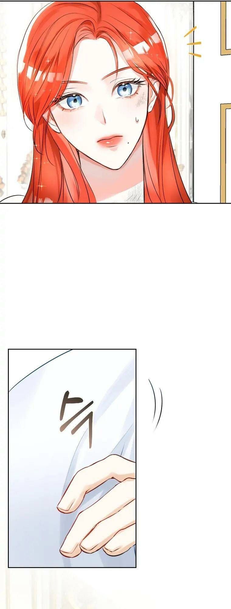 Cuộc Hôn Nhân Xa Hoa Của Đại Công Tước Là Giả Chapter 2.5 - Trang 2