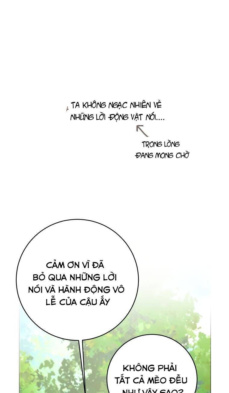 Cuộc Hôn Nhân Xa Hoa Của Đại Công Tước Là Giả Chapter 22.4 - Trang 2