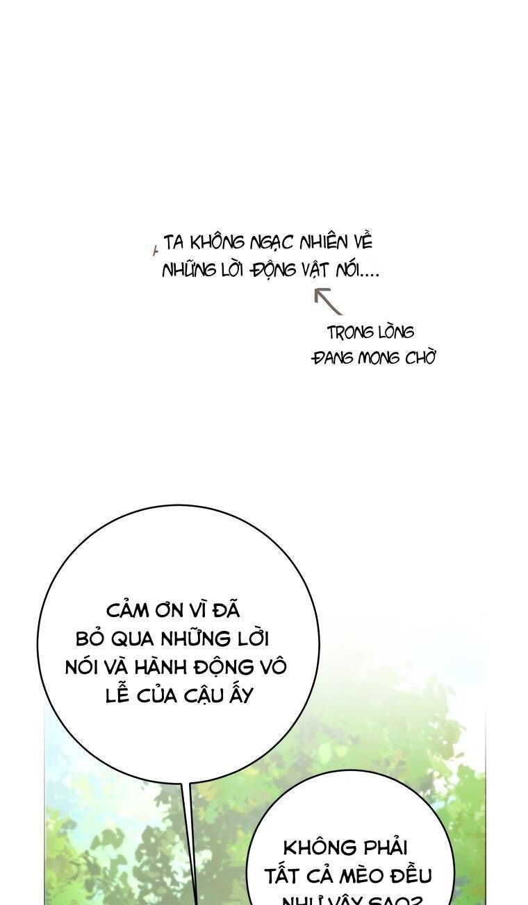 Cuộc Hôn Nhân Xa Hoa Của Đại Công Tước Là Giả Chapter 22.7 - Trang 2